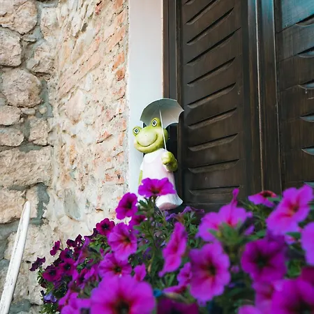 Castle Boutique Tirana