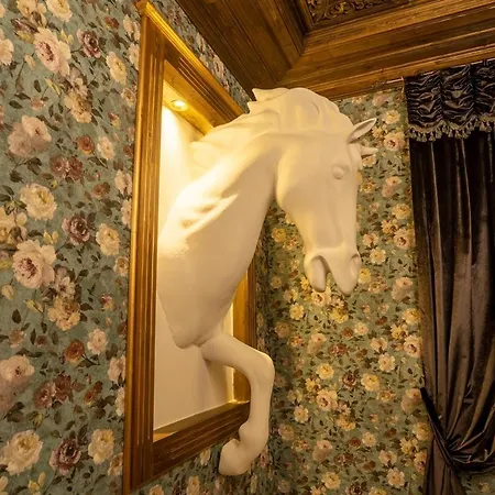 Hotel Castle Boutique *